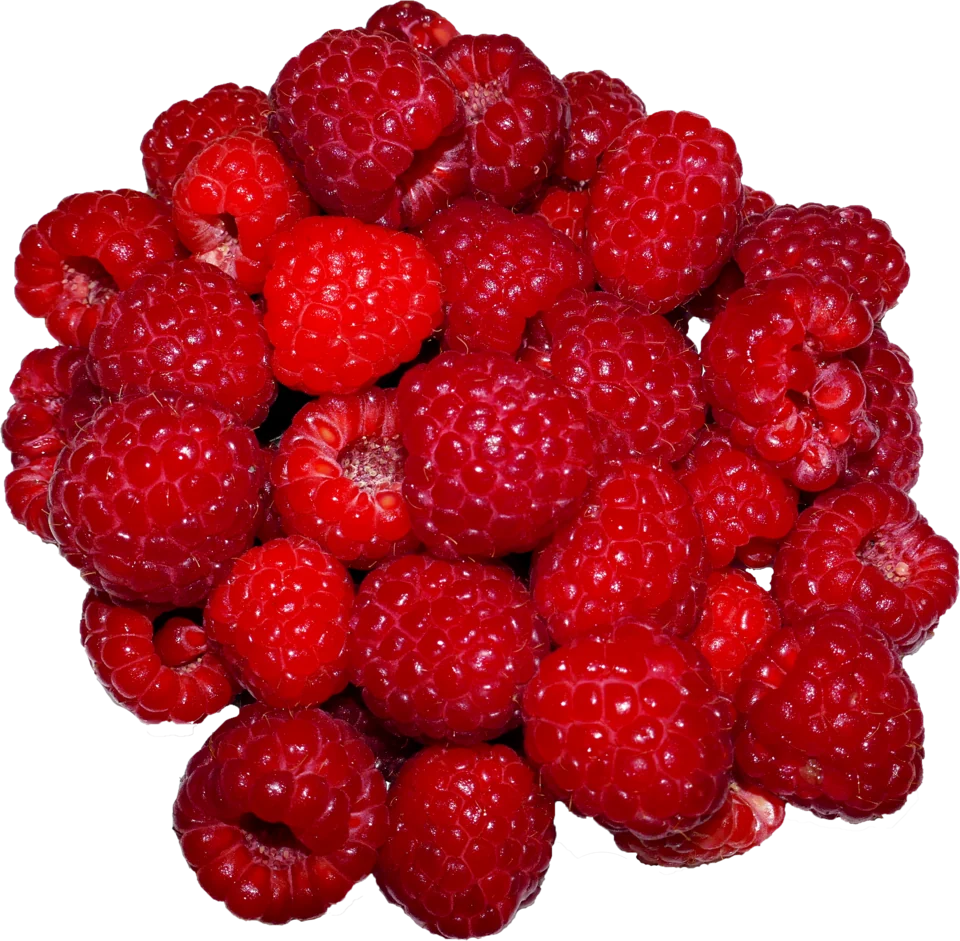 Fruits