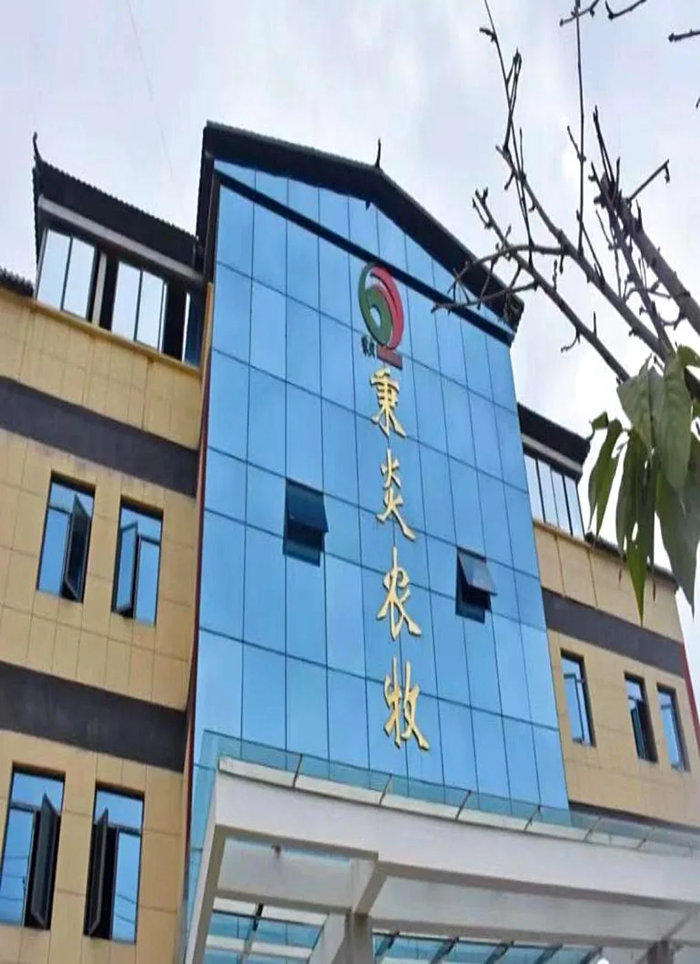 Headquarters
