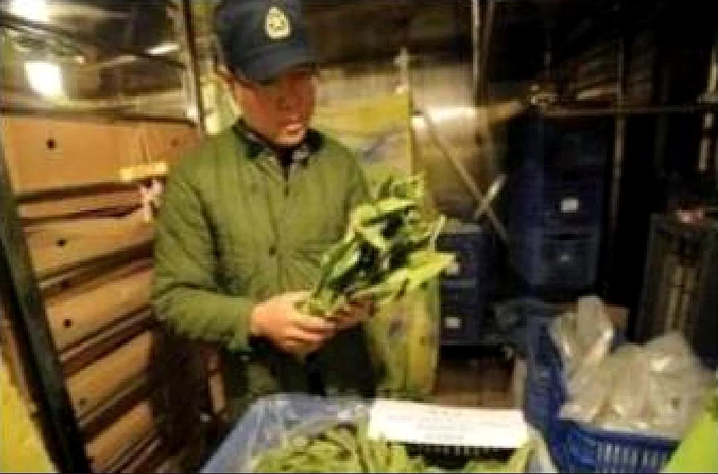 Leafy greens handled aboard a naval vessel