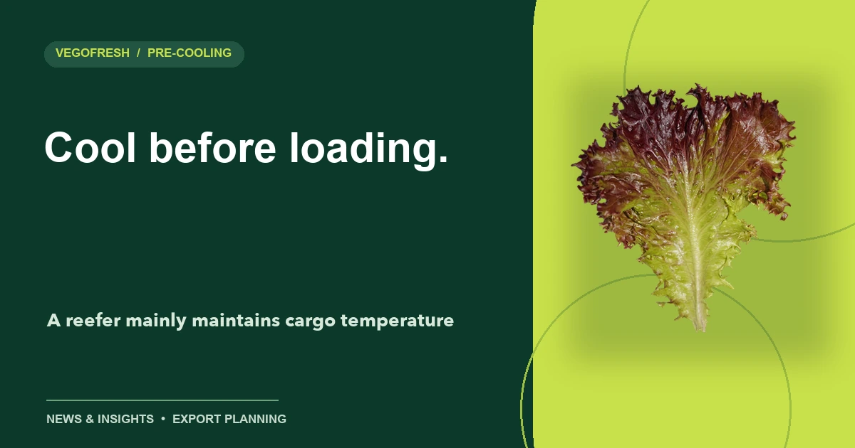 VegoFresh title card reading Cool before loading, with a lettuce cutout