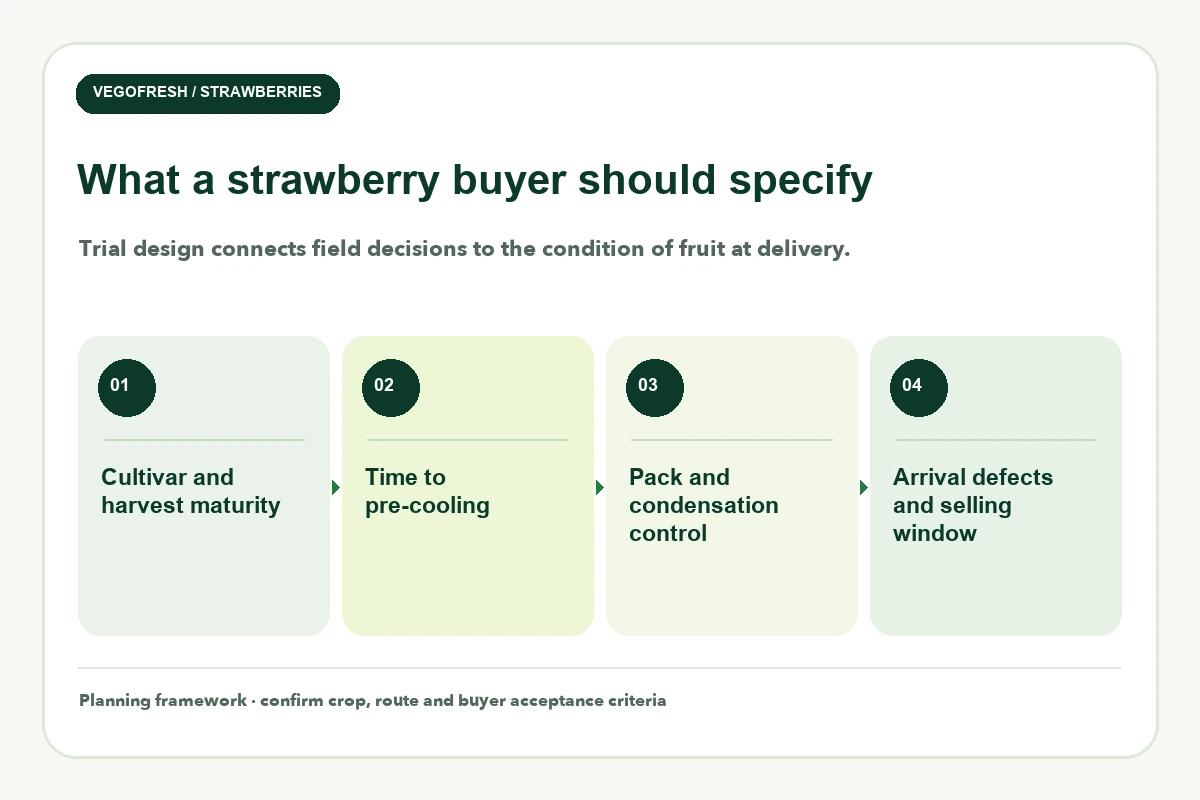 Four-card strawberry buyer checklist: cultivar and harvest maturity, time to pre-cooling, pack and condensation control, and arrival defects and selling window
