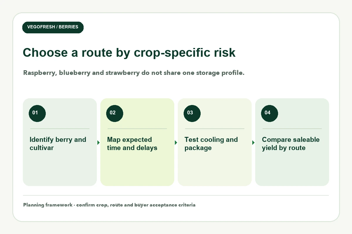 Four-step berry route framework: identify cultivar, map delays, test cooling and pack, compare saleable yield