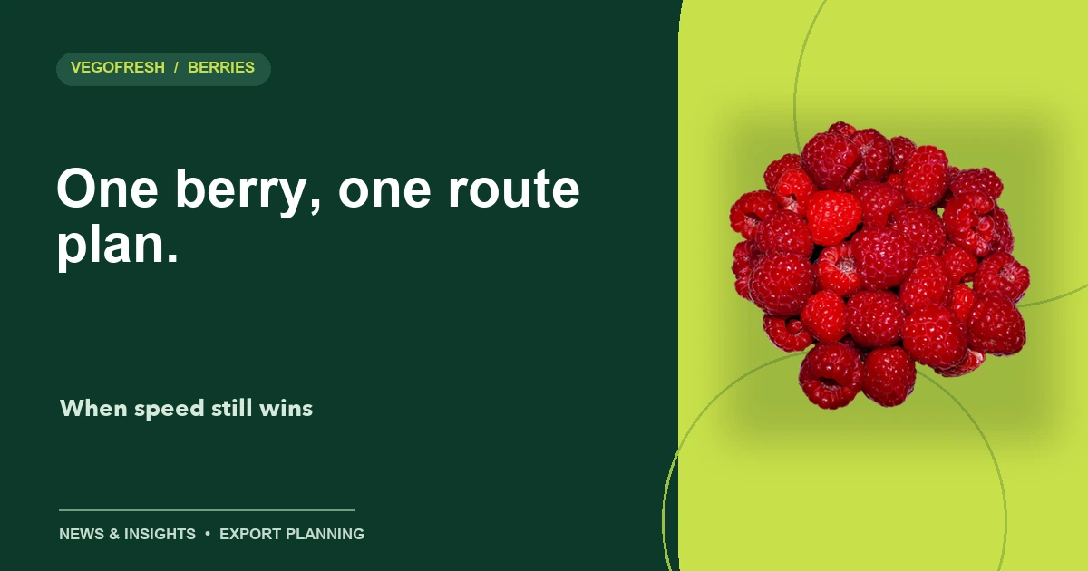 VegoFresh title card reading One berry, one route plan with a cutout of raspberries
