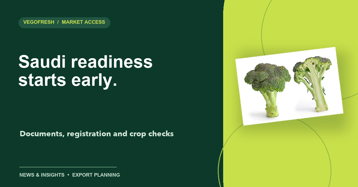 VegoFresh title card reading Saudi readiness starts early with a cutout of broccoli