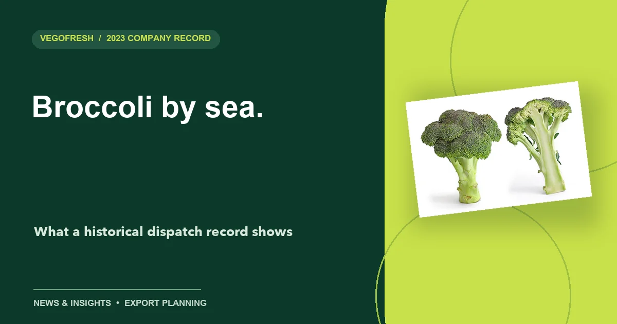 Broccoli illustration with the headline Broccoli by sea.