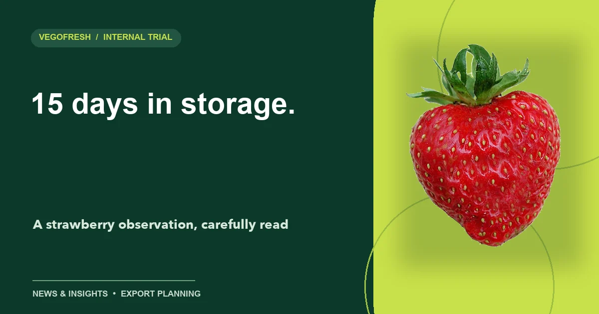Strawberry illustration with the headline 15 days in storage.